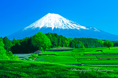 20130428-obuchi2162k3